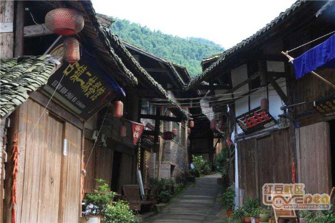 饥饿的松鼠救援